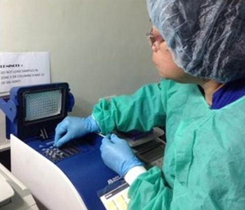 A laboratory technician places extracted DNA from tissue samples in a thermocycler when testing using the PCR. 