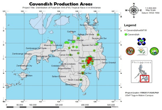 Initial map showing the distribution of Fusarium wilt TR4 in Mindanao as reported by the project team. (Map courtesy of Virgie P. Ugay, USeP)