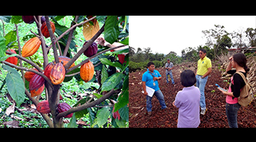 (Right photo) Dr. Feliciano Calora Jr. talks with MOSCAT staff during the field inspection and documentation of SARAI projects at MOSCAT.