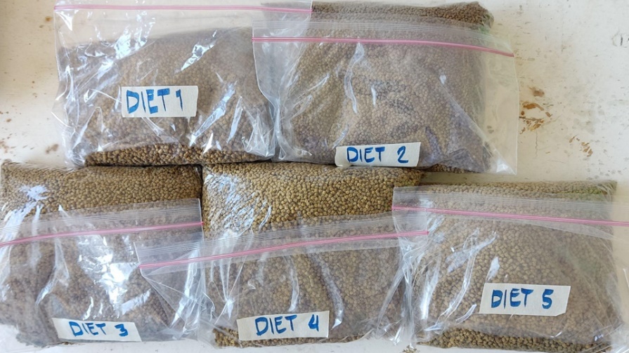 Five experimental diets containing increasing dietary inclusion levels of coconut mannan. (Image credit: University of the Philippines Visayas Project Team)