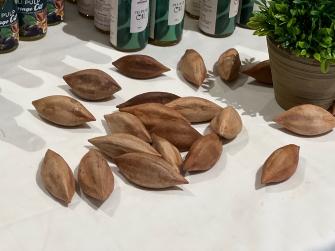 Pili nuts displayed at the exhibit during the 2023 Pili FIESTA. (Image Credit: Gian Carlo D. Camacho, ACD, DOST-PCAARRD)