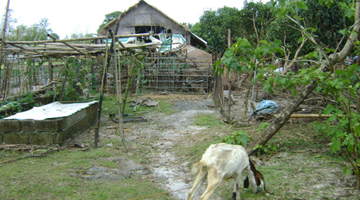 The aftermath. A portion of MS Sebastian’s farm in San Felipe, Zambales.