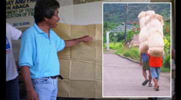 In one of the project’s activities. (Inset) Farmers carry their abaca fibers.