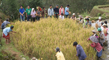 Technology field day. Farmers and staff members of HARRDEC and PCAARRD participate in the field day held at Lamaton’s farm.